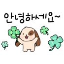 애견1번지 이미지