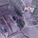 차리농장 이미지