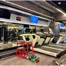 종로-종로-종로-종-110 | 스포애니 광화문역점 체험 후기 | 광화문역헬스장 유일 500평 프리미엄 시설 완벽 분석