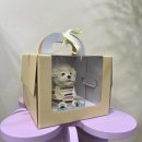 Dear My Blank | 괴정동 강아지 생일 케이크 수제 간식 전문 ‘디어마이블랭크’ 다녀왔어요! 내돈내산 솔직후기