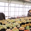 이광수농장 이미지