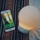 숲속파도소리 이미지