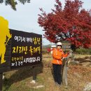 지리산둘레길 22코스(주천-밤재) 티스토리