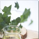 염편한세상 이미지