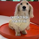 왓숑커피