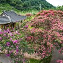 순창 자연 양돈 이미지