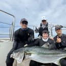 울진왕돌초 이미지