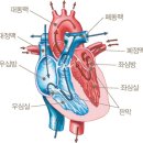 (주)메지온 | [공부] 메지온
