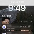 WR(부산광역시 강서구)-31[르노삼성대로]-하-3 | 2025 ep.12-3 | 이 사이에 크리스마스, 세부 여행...네일샵, 명지 갈미조개, 부산 크리스마스 빌리지...