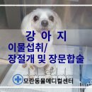 24시 모란동물 메디컬센터 이미지