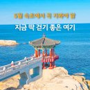 속초관광지 여긴 꼭 가야해 ! 속초해안도로 드라이브코스 영금정 일출