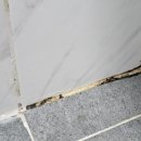 에코후레쉬 | "에코후레쉬 곰팡이 제거젤" 1년 사용 후기 - 전후 사진, 효과, 장단점, 인스타 광고템