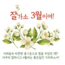 🌼3월의 마지막 날 문안편지 '잘가라~! 3월~!' 이미지