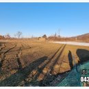 내수공설운동장 이미지