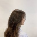리노203