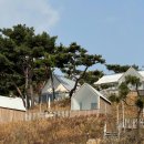 카페1384