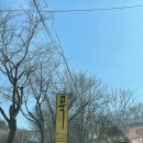 통돼지와도토리 이미지