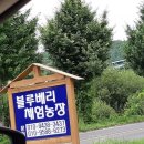 포전2농장 이미지