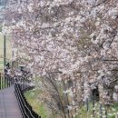 창건목장 이미지