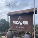 제주도 기념품 고민 끝, 제주여행 선물로 좋은 제주 전통주 추천 제주샘주 양조장 방문