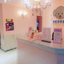 페퍼코인노래연습장 이미지