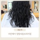 리안헤어정왕세종프라자 네이버블로그