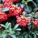 수성구민운동장역 이미지