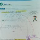 삼어초등학교 이미지