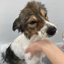 러브몽먼트 이미지