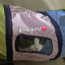 제로100 PC 구래동점 | 구래동 치킨 맛집 &#39;노상치킨 김포 구래점&#39; 리뷰ㅣ바삭하고 촉촉한 무항생제 1등급 닭이라고?