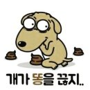 하이영진 이미지