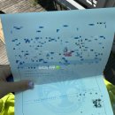 밝은미래약국 이미지