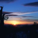 양숙이네 이미지