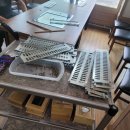 숲속장어 이미지