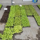 그린농자재마트 이미지