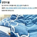 킹 소프트 이미지