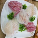 오늘은 회 이미지