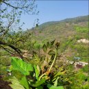 춘옥이네 이미지