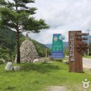 장천마을캠핑장 이미지