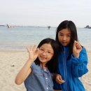 송도해수욕장 이미지