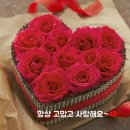 오덕농장 네이버블로그