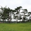 이백면 계산마을 이미지