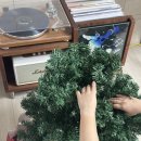 희망별자리 | 25년 12월 (제주도 여행, 잔나비 합창의 밤, 희망 비웃을 힘)