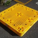 파렛트 Daum카페