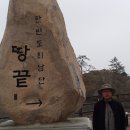 녹차농원 이미지