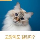 홍제동물병원 이미지