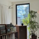 소소하게 돌아다닌.. 이라기엔 제주-부산을 넘나들었다