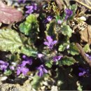 금창초등학교 이미지