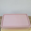 비트리 | 냉동용기 비트리 칸칸이 내돈내산 후기 다이소 호환 여부