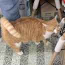 임영약국 이미지